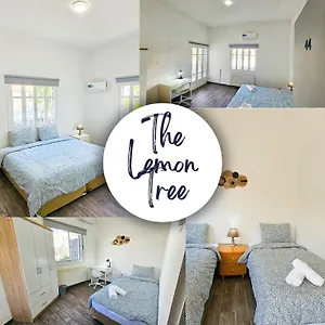  Auberge de jeunesse The Lemon Tree Chypre